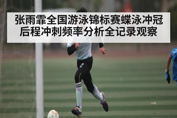 张雨霏全国游泳锦标赛蝶泳冲冠后程冲刺频率分析全记录观察