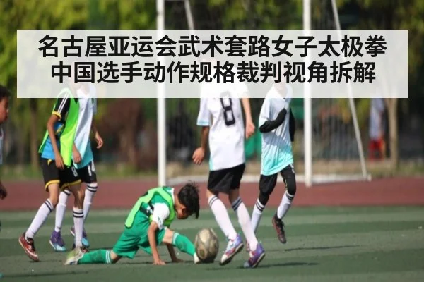 名古屋亚运会武术套路女子太极拳中国选手动作规格裁判视角拆解